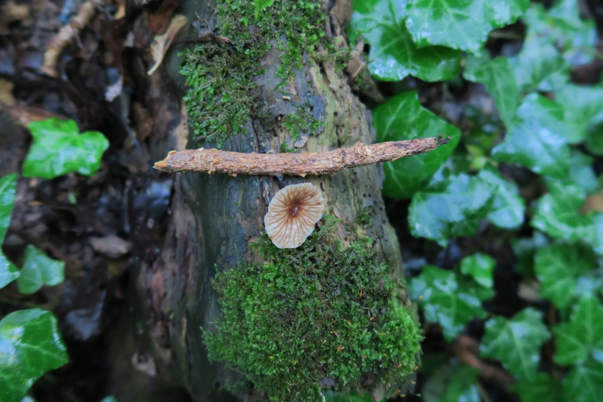 1 -